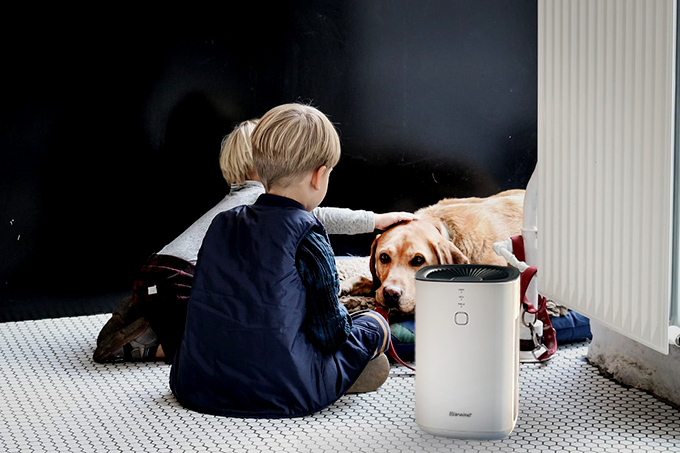 Carrier klarwind on sale air purifier